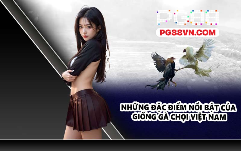 Những đặc điểm nổi bật của giống gà chọi Việt Nam