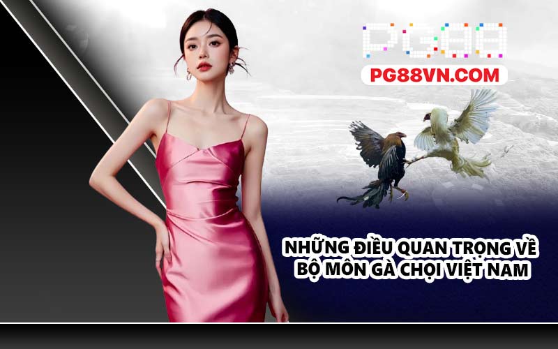 Những điều quan trọng về bộ môn gà chọi Việt Nam